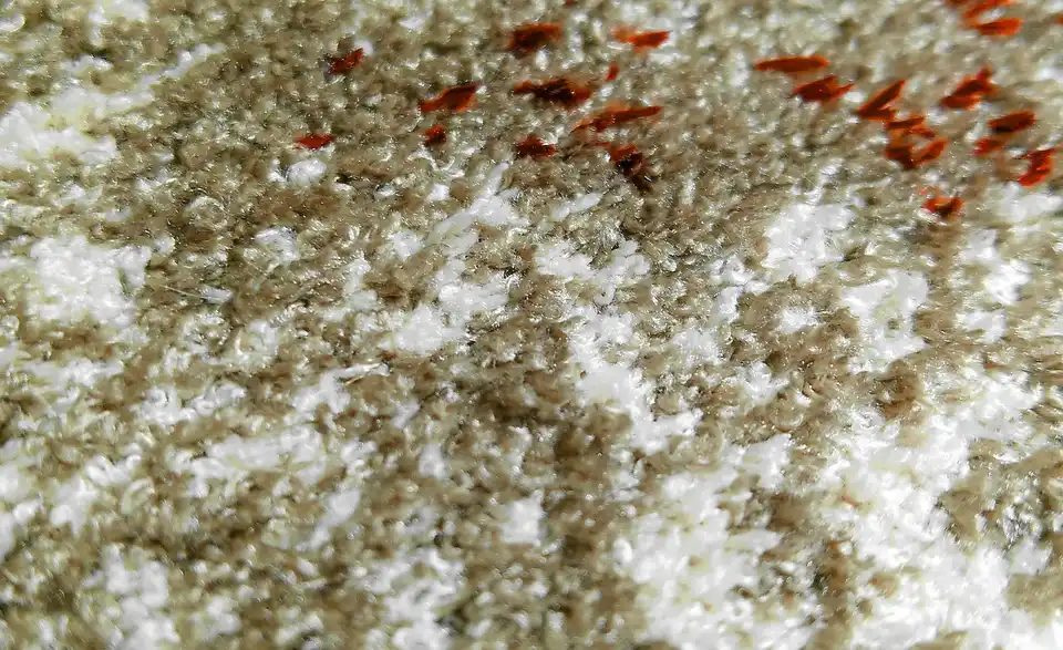 Webteppich Charleston, Detailansicht