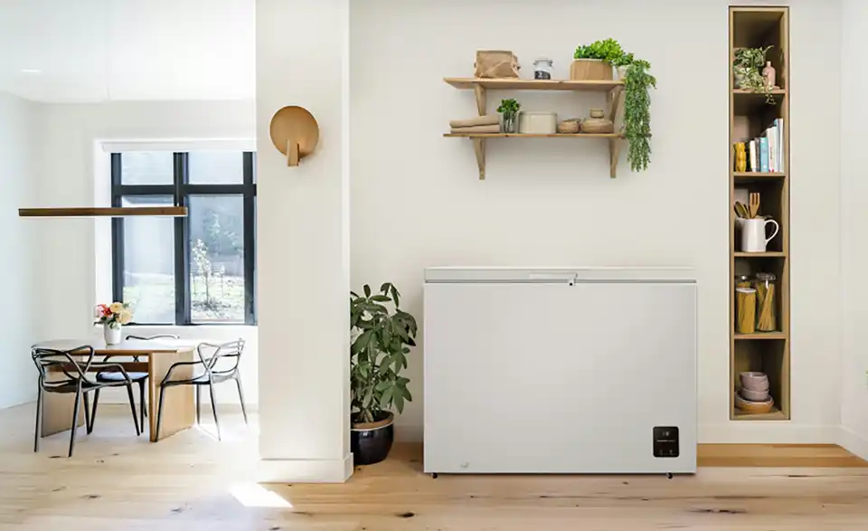 gorenje Gefriertruhe FH30EAW, in Wohnsituation