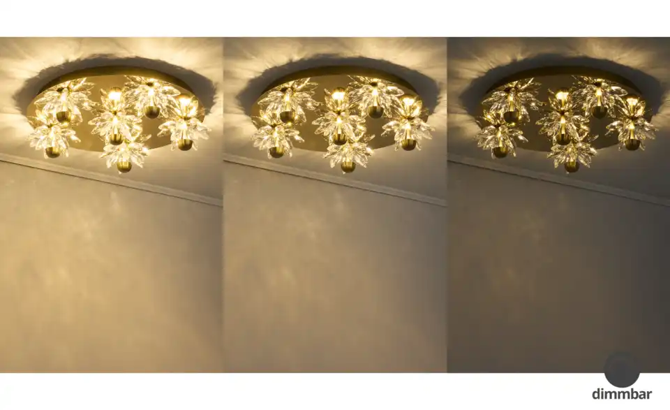 KHG LED-Deckenleuchte Flower, Funktionsansicht