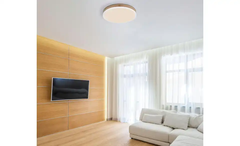 Globo Lighting Deckenleuchte, in Wohnsituation