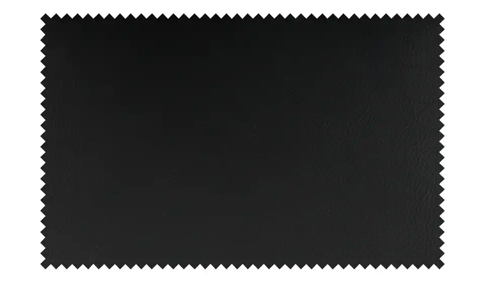 Steve 6