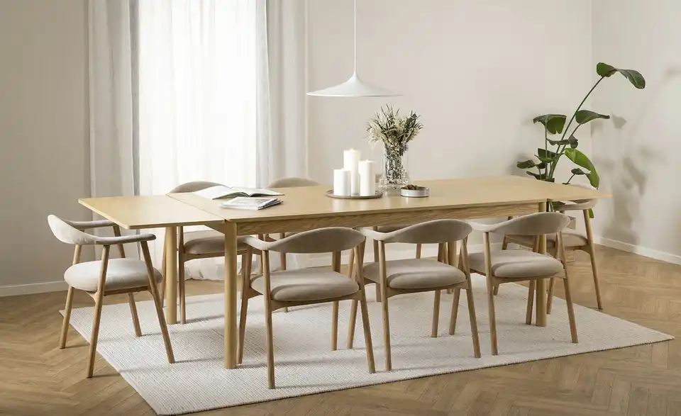 Armlehnstuhl 2-er Set Fenrik, in Wohnsituation