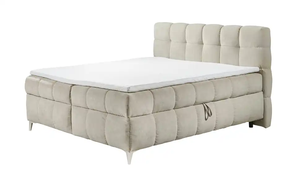 Boxbett Kylie, Perspektive