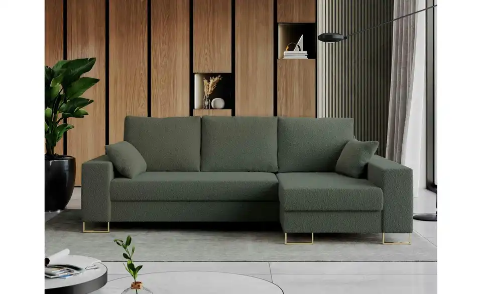 Ecksofa Grün, in Wohnsituation