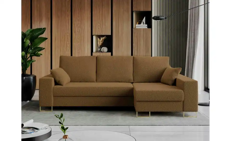 Ecksofa Braun, in Wohnsituation