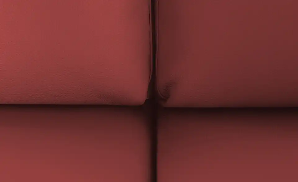 Max Schelling Ledersofa Maximum mit Kufengestell, Detailansicht