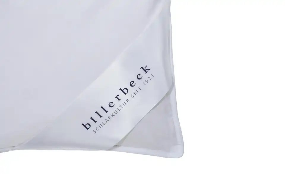 Billerbeck Kassettendecke Ramona, Detailansicht