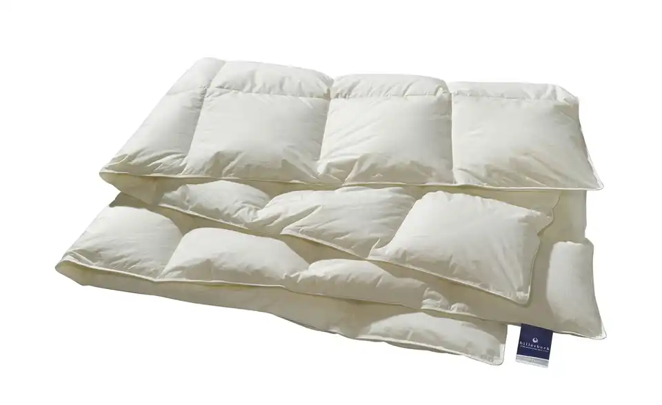 Billerbeck Kassettendecke VI Belja 2.0 Edition, Perspektive