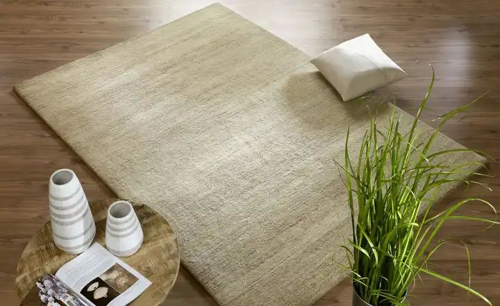 hellbrauner Teppich auf dunklem Laminatboden, Beistelltisch mit Vasen, eine Deko Pflanze und kleines weißes Kissen