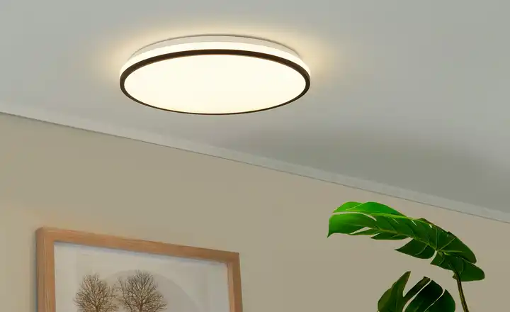 LED-Deckenleuchte, weiß mit schwarzem Ring