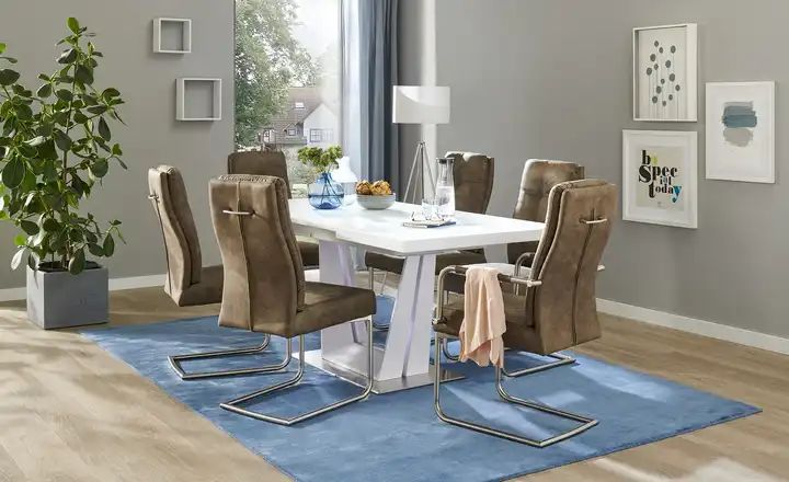 Moderne Esszimmerstühle mit & ohne Armlehne bei Höffner