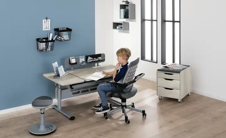 PAIDI Schülerschreibtisch Diego GT Silbergrau Eiche Nautik (Nachbildung)