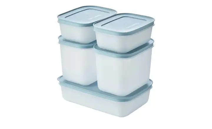 Tupperware Gefrierdosen Starter-Set  1x 1L, je 2x 1,1L und 0,45 L 