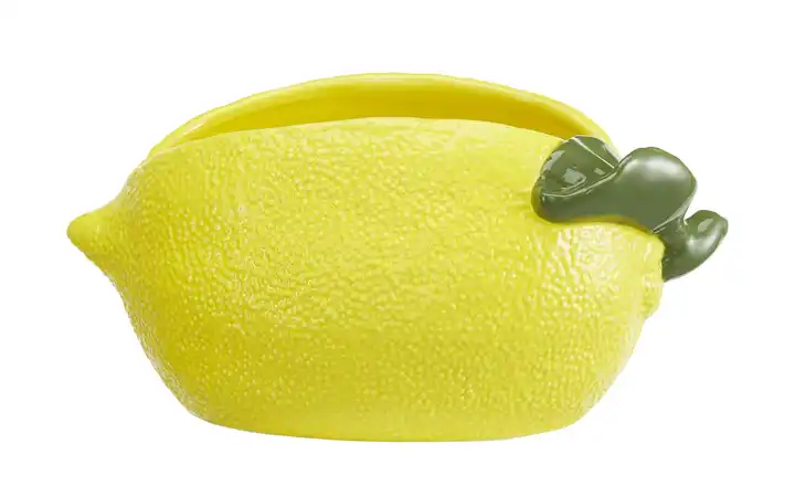  Schüssel  Zitrone