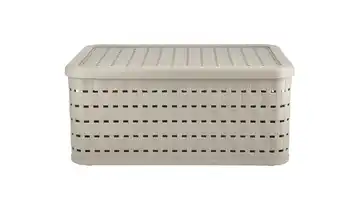 Rotho Aufbewahrungsbox mit Deckel  