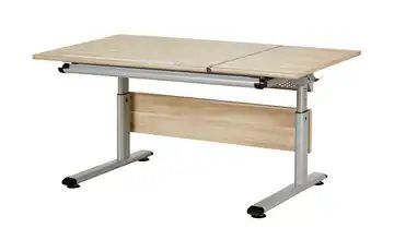 PAIDI Schülerschreibtisch Marco 2 GT