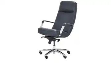 Chefsessel grau-blau Schilde