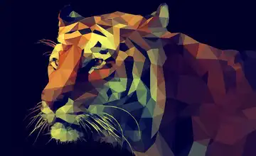  Kunstleinwand  "Colourful Tiger"