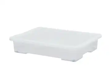 Rotho Aufbewahrungsbox  EVO EASY