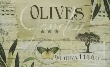 GO-DE Auflage Olives