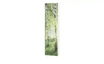 Mehrzweckschrank Pictura