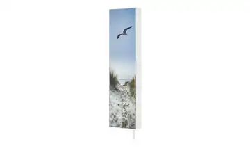 Mehrzweckschrank Pictura
