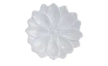 Teller Blume