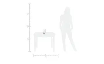 Peill+Putzler Vase Gondola