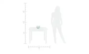 Peill+Putzler Vase Gondola