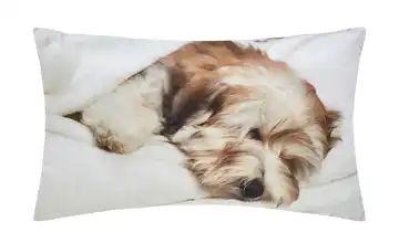 for friends Kissen Hund