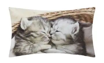 for friends Kissen Katzen