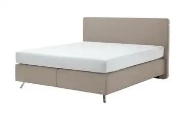 Jette Betten Boxspringbett #101 Straight
