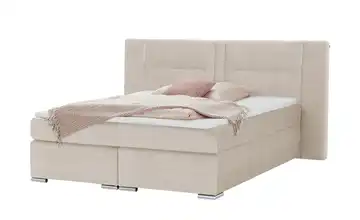 uno Boxspringbett  Aston