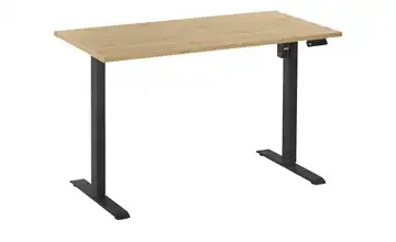  Schreibtisch  Up & Down