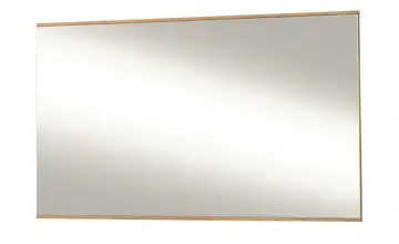 MONDO Spiegel Aralia