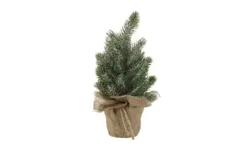  Deko Tanne im Jutesack, sortiert  