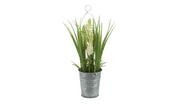 Hyazinte im Zinktopf Weiß