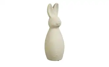  Deko Hase  