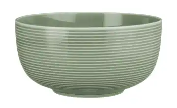 Seltmann Weiden Foodbowl Beat Salbeigrün 18 cm