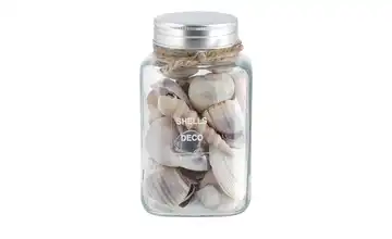 HOME STORY Muschelmix im Glas  