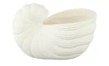  Blumentopf Muschel  