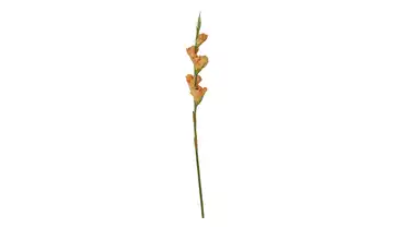 Kunstblume Gladiole