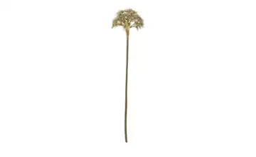  Kunstblume Achillea  