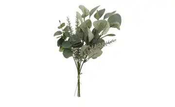 Eukalyptus Rosmarinstrauß Grün