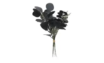 Eukalyptus Rosmarinstrauß Schwarz, silberfarben