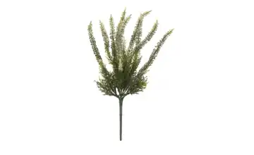 Erikabund