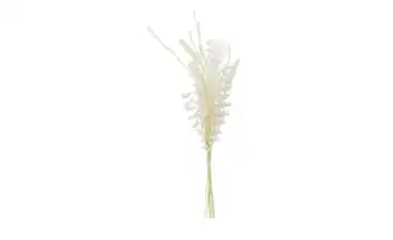 Softflower Bouquet