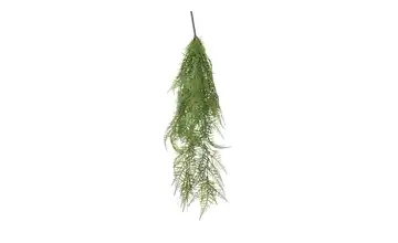 Asparagus Hänger