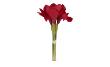  Amaryllis  