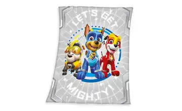 Herding Plaid Paw Patrol